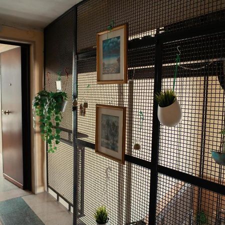 巴里Casa Di Joe别墅 外观 照片